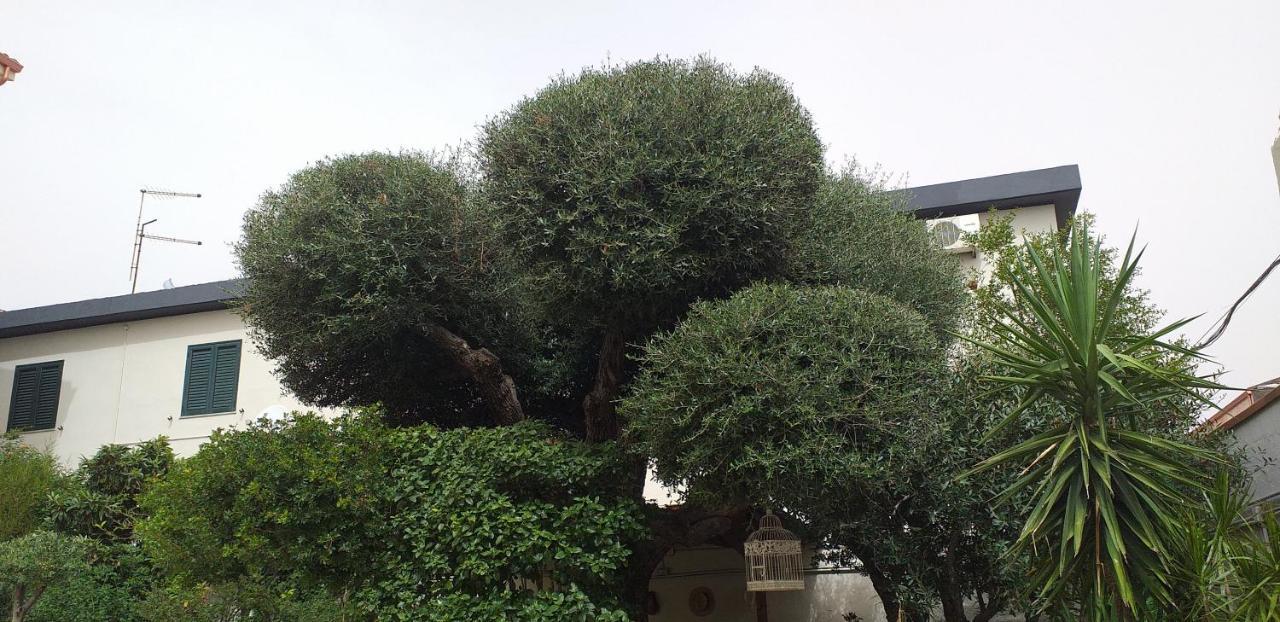 Il Vecchio Ginepro Capoterra Exterior foto